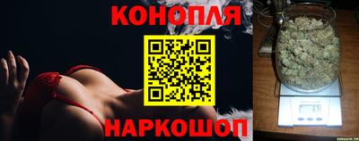 гидропоника Пугачёв