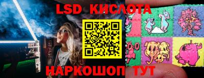 гидропоника Пугачёв
