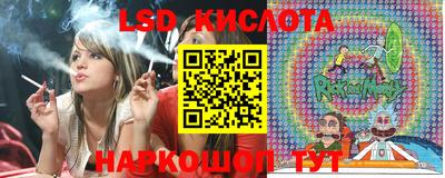 гидропоника Пугачёв