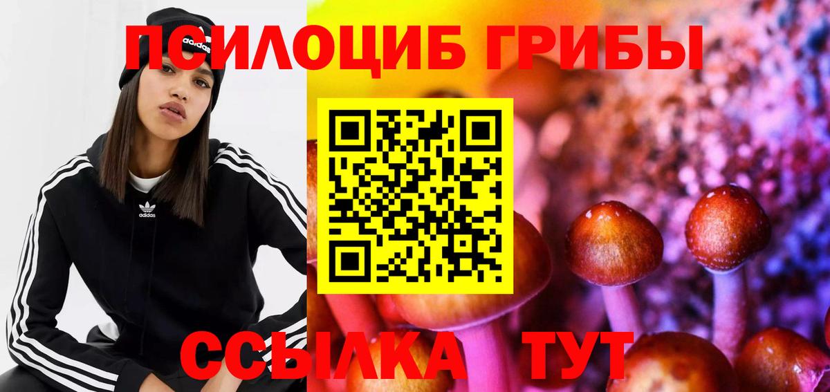 Галлюциногенные грибы Psilocybe  Вход с VPN  Обнинск 